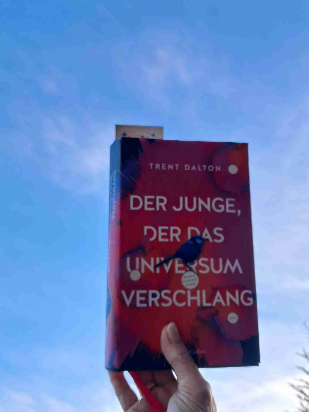 Wow, was für ein tolles Buch. Danke Eli Bell für diese spannende, kluge, mysteriöse, abenteuerliche und krasse Geschichte. Bitte unbedingt lesen. Schnapp dir die Zeit, sonst schnappt dich die Zeit wird mein neues Motto... 