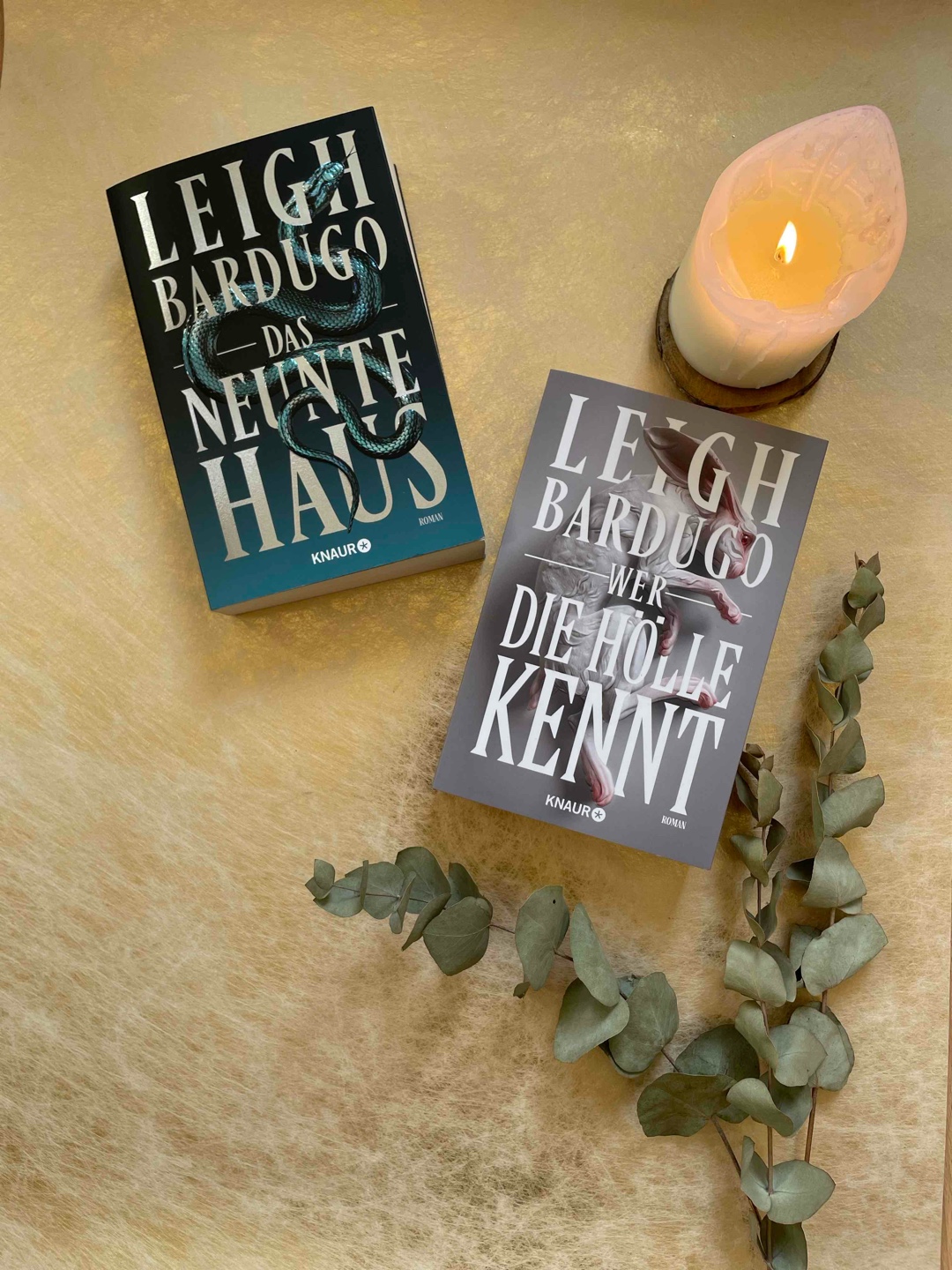 ”Das neunte Haus” ist düstere Fantasy, die Dark Academia und Kriminalroman moralisch grau und blutig vereint.