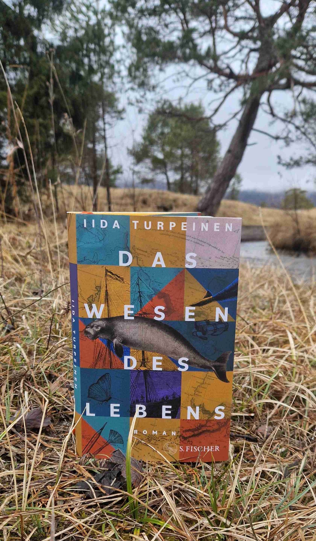 Insgesamt ist es ein wunderbar bewegendes Buch. Vom Entdeckergeist über fleißige Sammler bis zur nüchternen Erkenntnis: "was einmal tot war, bekommt man nicht wieder".