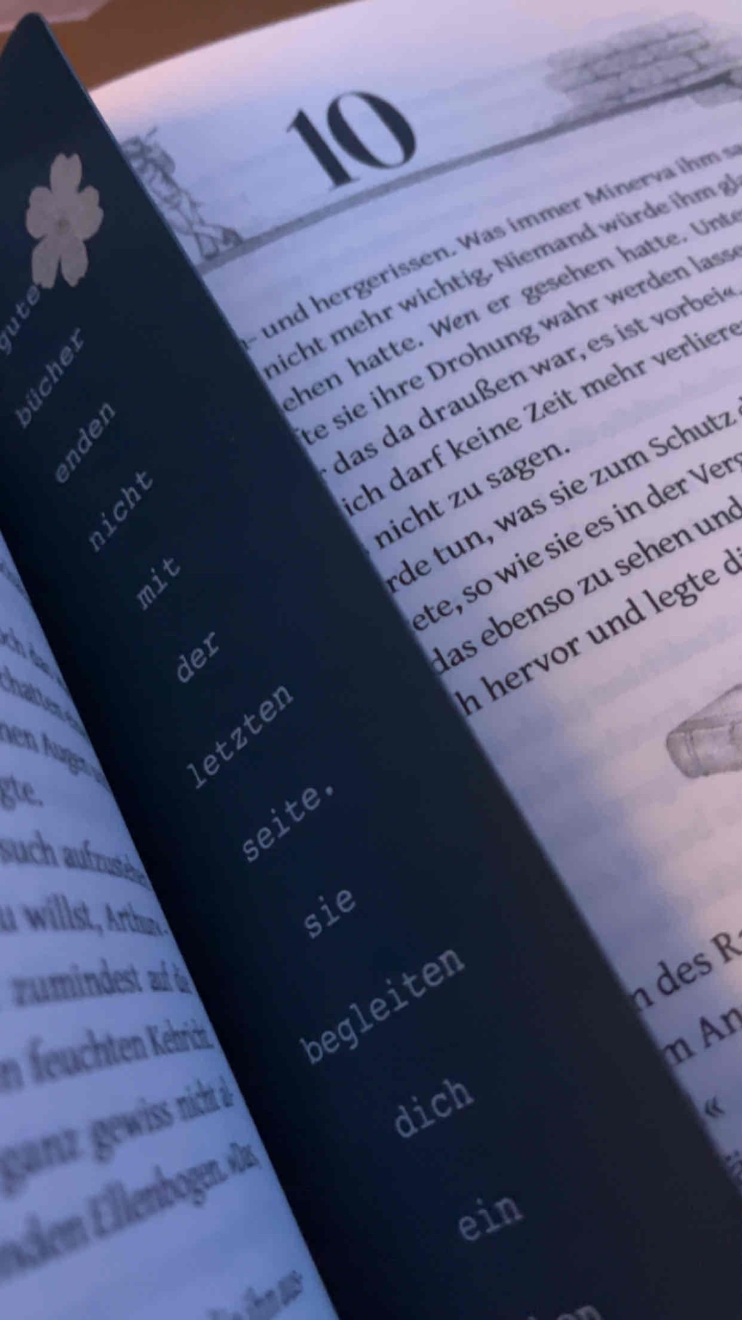 Der letzte Band der Buchwächter Buchreihe