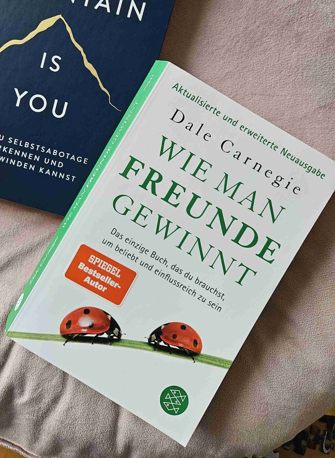 "Wie man Freunde gewinnt" ist ein unverzichtbares Werk für alle, die ihre zwischenmenschlichen Fähigkeiten verbessern und tiefere, authentischere Verbindungen zu anderen Menschen aufbauen möchten.