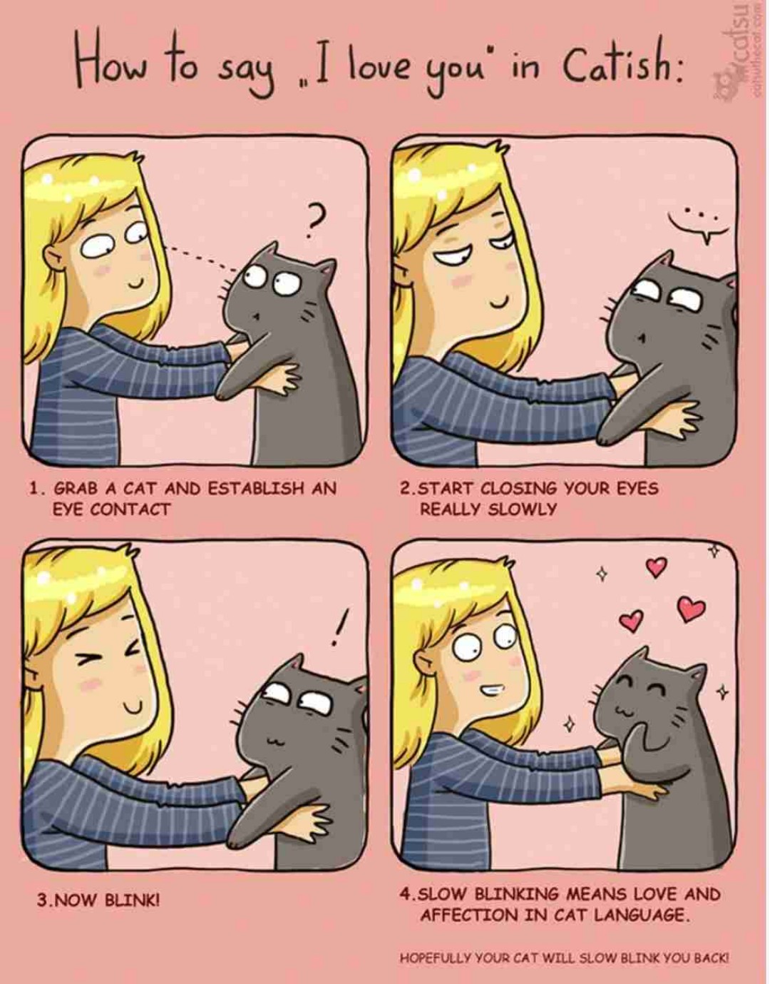 ♡Katzenliebe♡
Was soll ich machen?