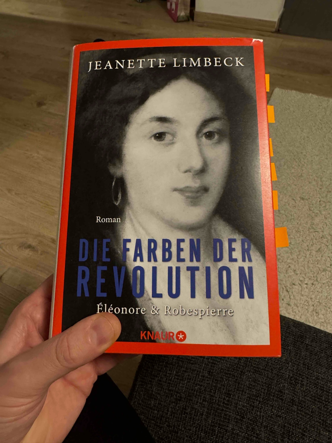 Ein fesselnder und gut recherchierter Roman über die Französische Revolution.