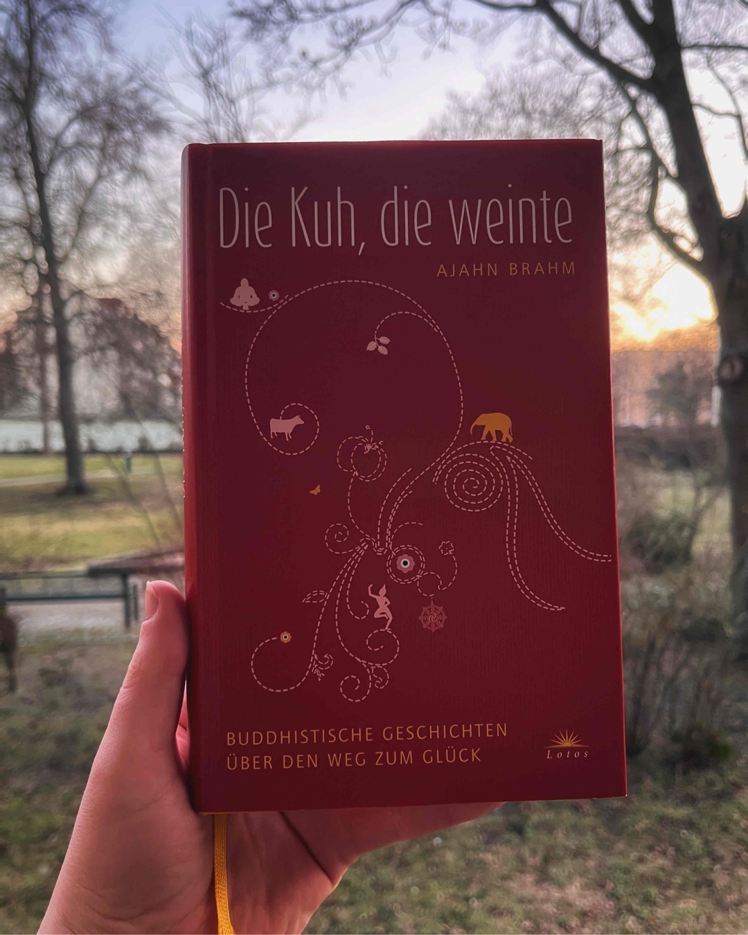 Ich liebe einfach alles daran