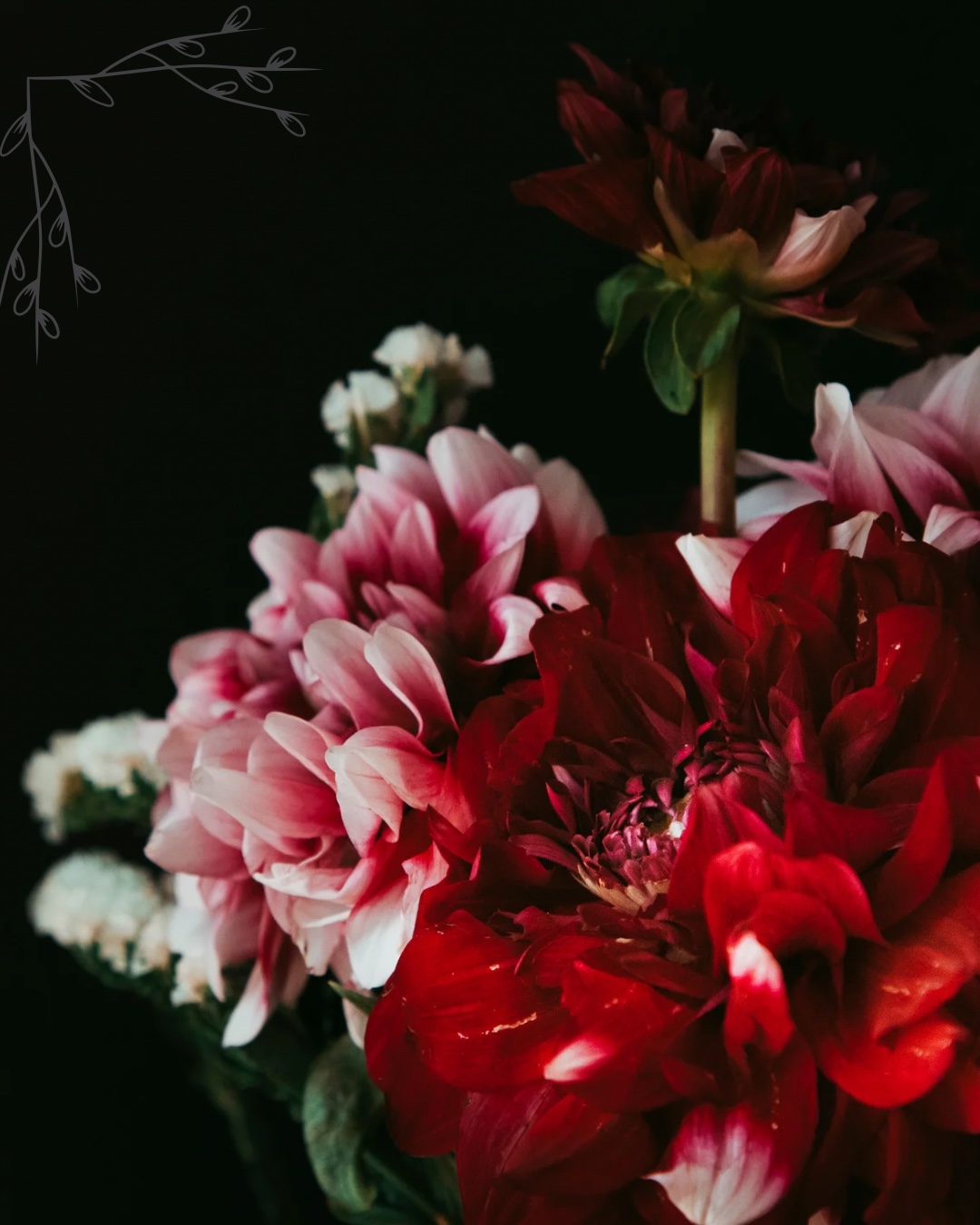 „Ich habe dem Tod gedroht.“ ~ Katrina Smythe
