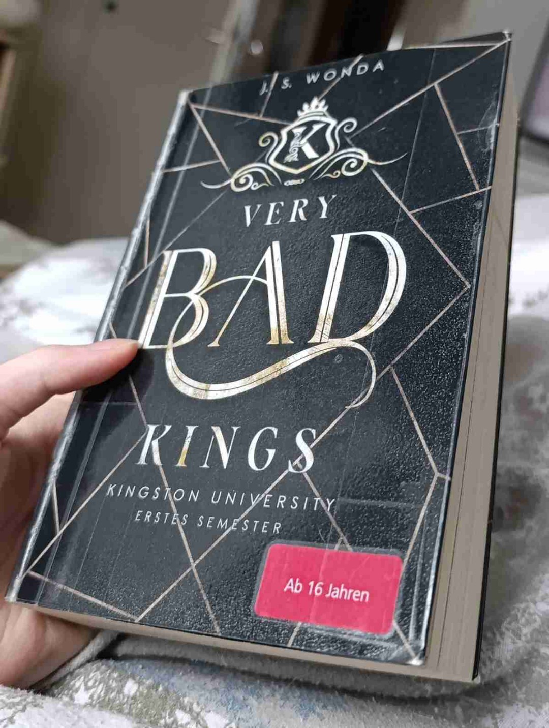 Gewalt, Bully Romance, Reverse Harem, Dark College und Verschwörungen, alles in einem Buch ...👀