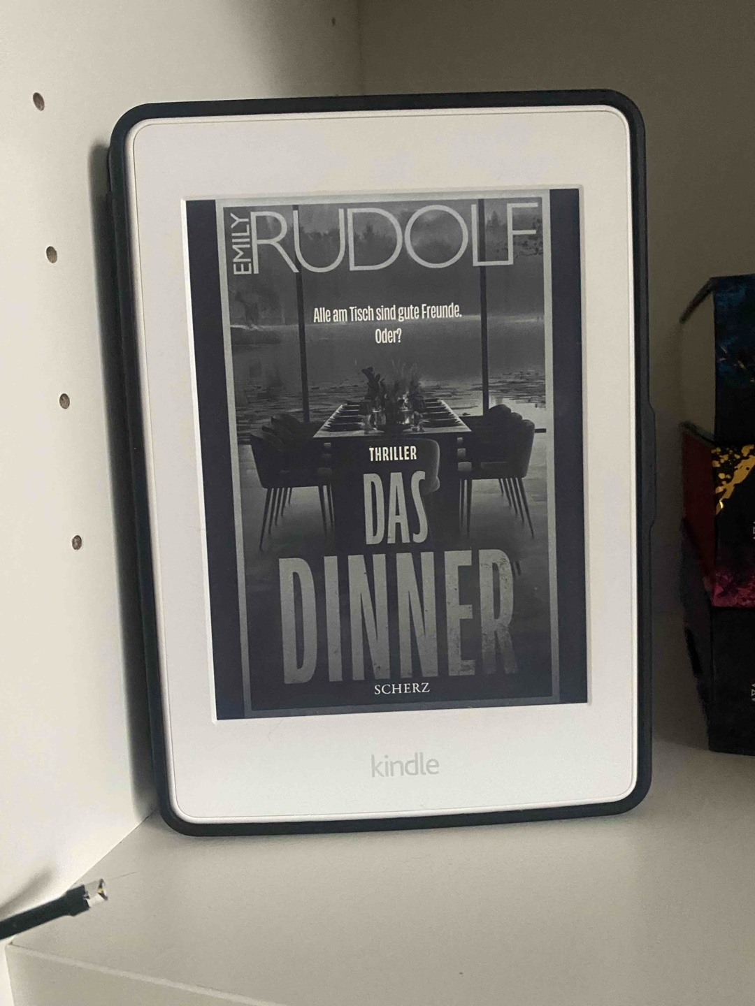 Ok, aber mehr nicht. Mir ging es zuviel um Sex und Drogen und auch alle Charaktere waren mir sehr unsympathisch und ich konnte mit keinem mitfühlen… am Ende gehören alle bestraft, meiner Meinung nach.