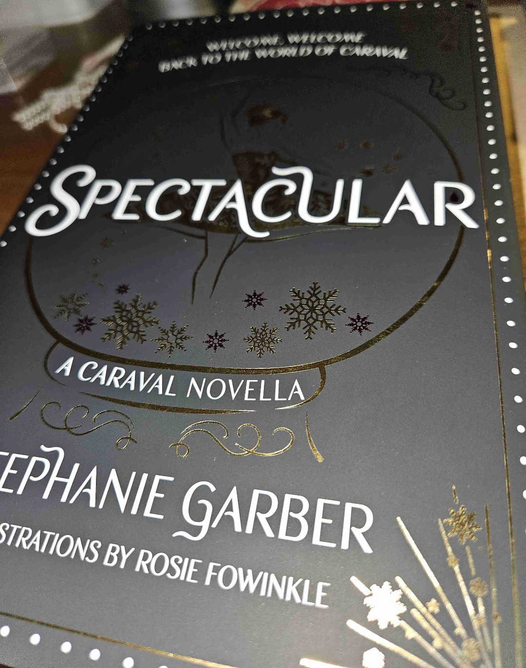 Spectacular by Stephanie Garber is a holiday Caraval novella where Scarlett plans a celebration, Tella searches for the perfect gift, and Legend remains indifferent to the festivities. Magic and mystery fill the air, making the holiday anything but ordinary.