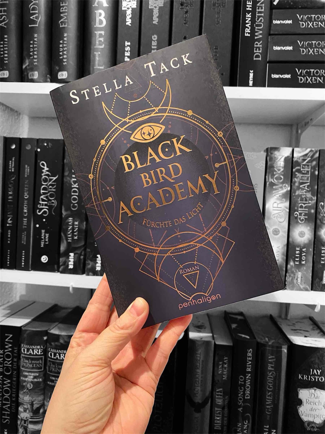 Dämonen, Exorzisten und ein gefährliches Geheimnis – Band 2 der Black Bird Academy