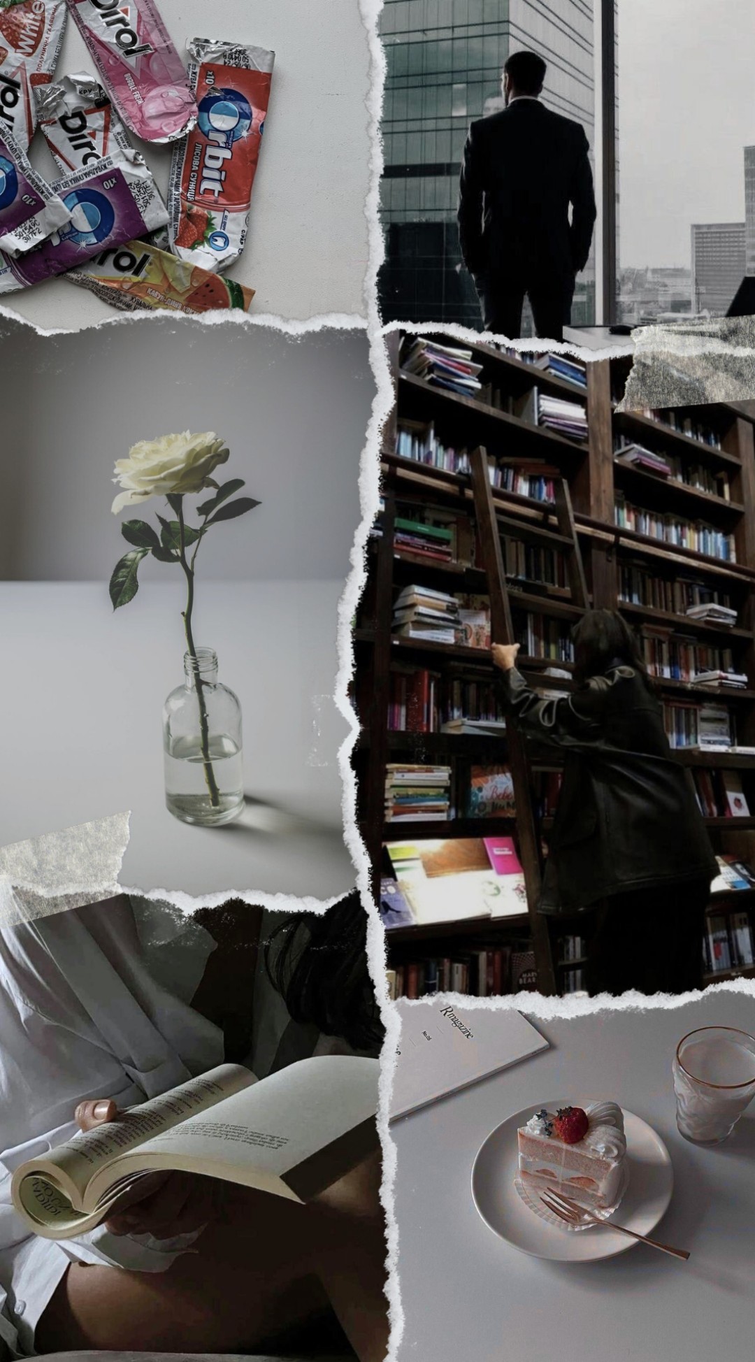 books and food, I get it!🍰📚