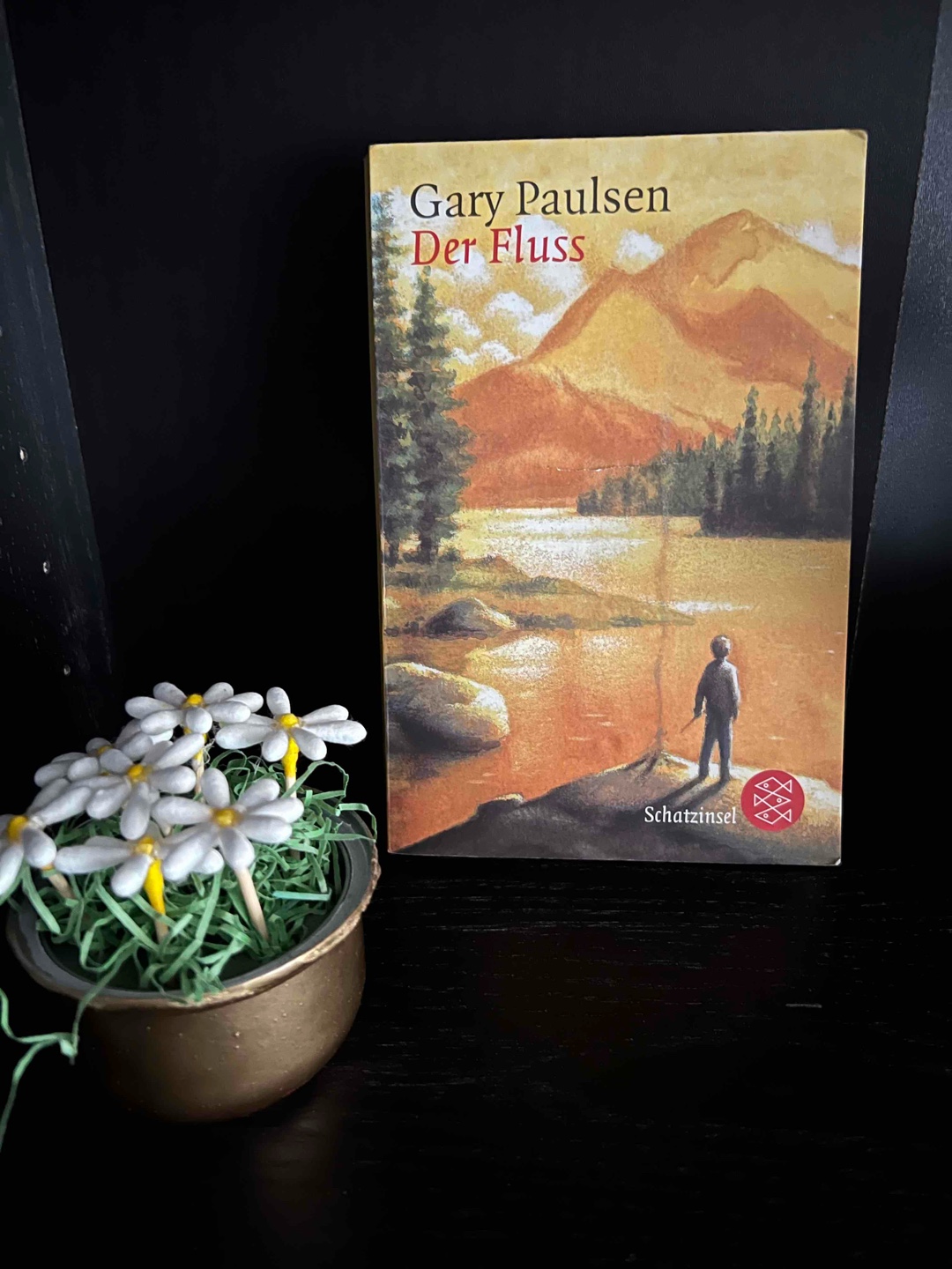 Gutes Buch & Spannend !