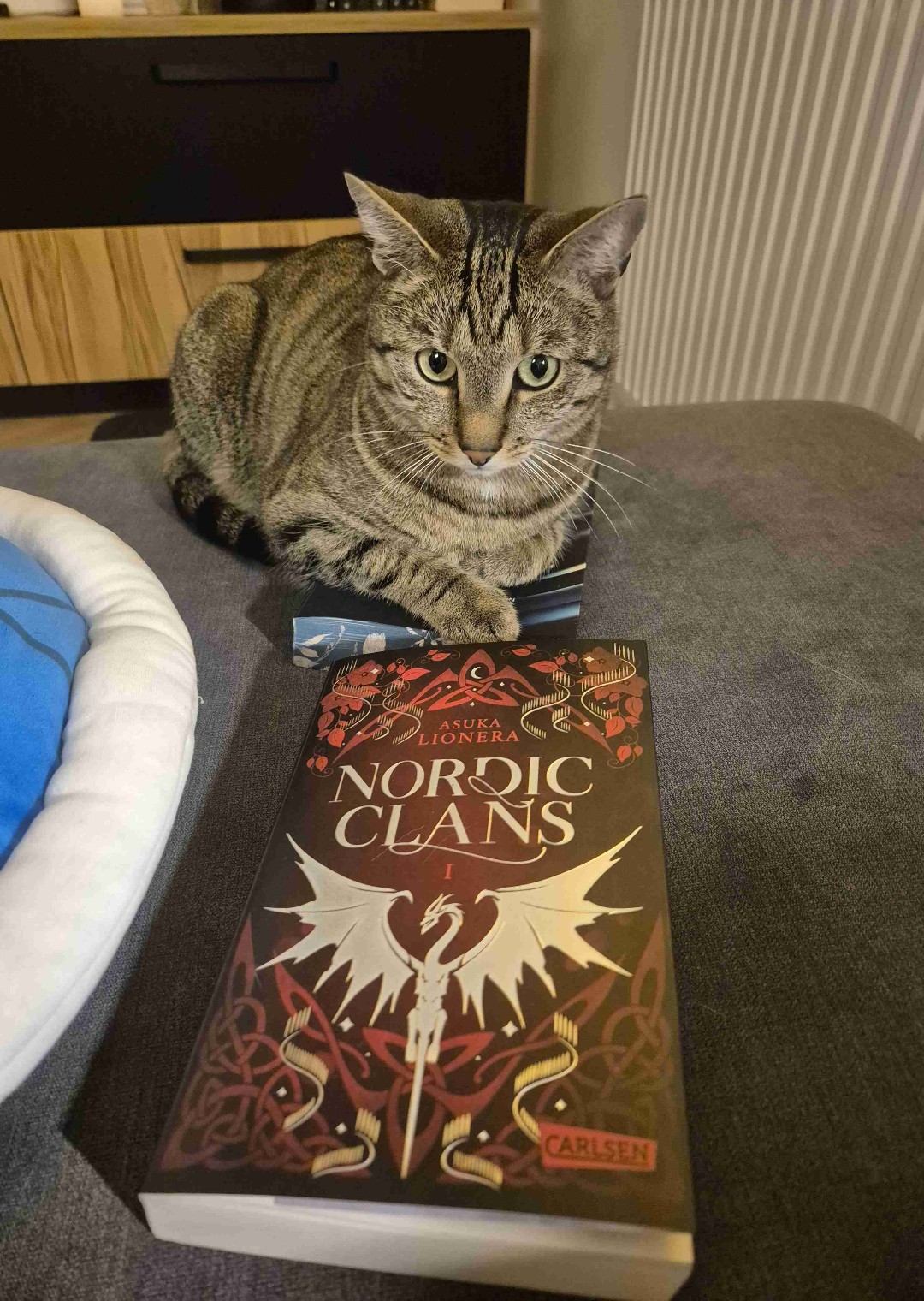 Feinste Romantasy im nordischen Setting, ein echt tolles Buch für alle Wikinger fans! 💚