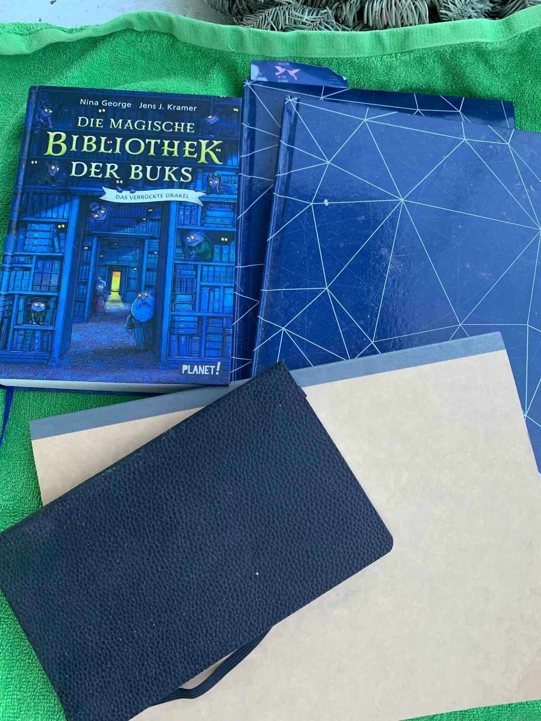 Das Leben der Bücher