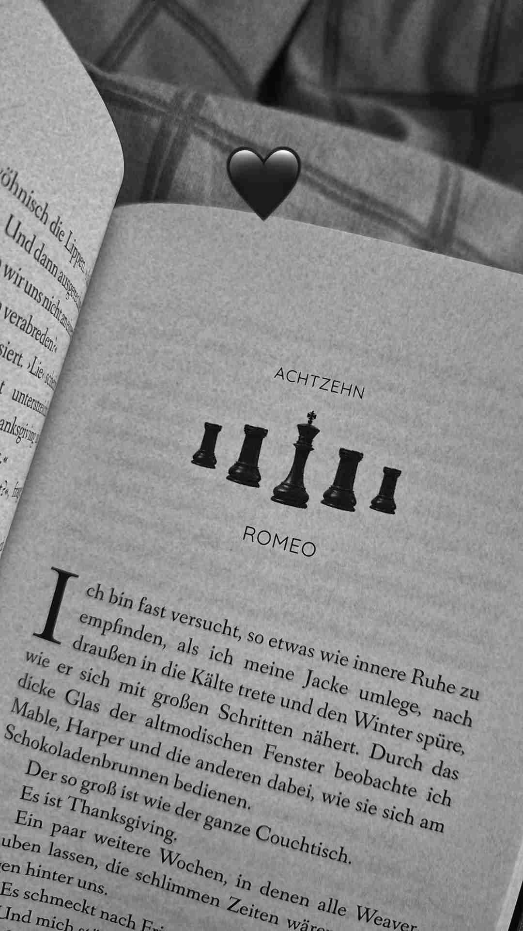 Band 6
Very Bad Bastards
So brutal der Titel auch klingen mag, inhaltlich mein absoluter Favorit, auf so vielen Ebenen.

Romeo, du wunderschöner strahlender Schatten.🦋
Jaxon, so kaputt, kaputt, kaputt. Nichts dazwischen.🖤