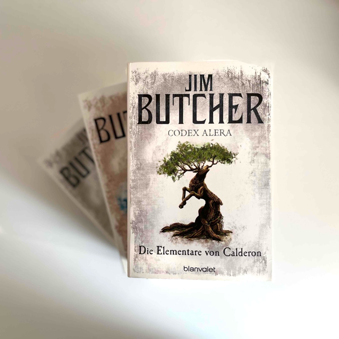 Ein spannender Auftakt, der neugierig macht auf die nächsten Bücher