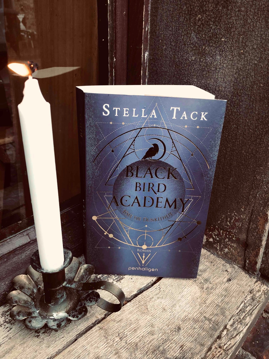 Stella Tack hat es mal wieder geschafft, mich zu begeistern. Ich habe die Geschichte von Leaf und Falco verschlungen und alles daran geliebt. 
Besonders das Ende hat mich mit einem offenen Mund zurückgelassen. Eine absolute Leseempfehlung.