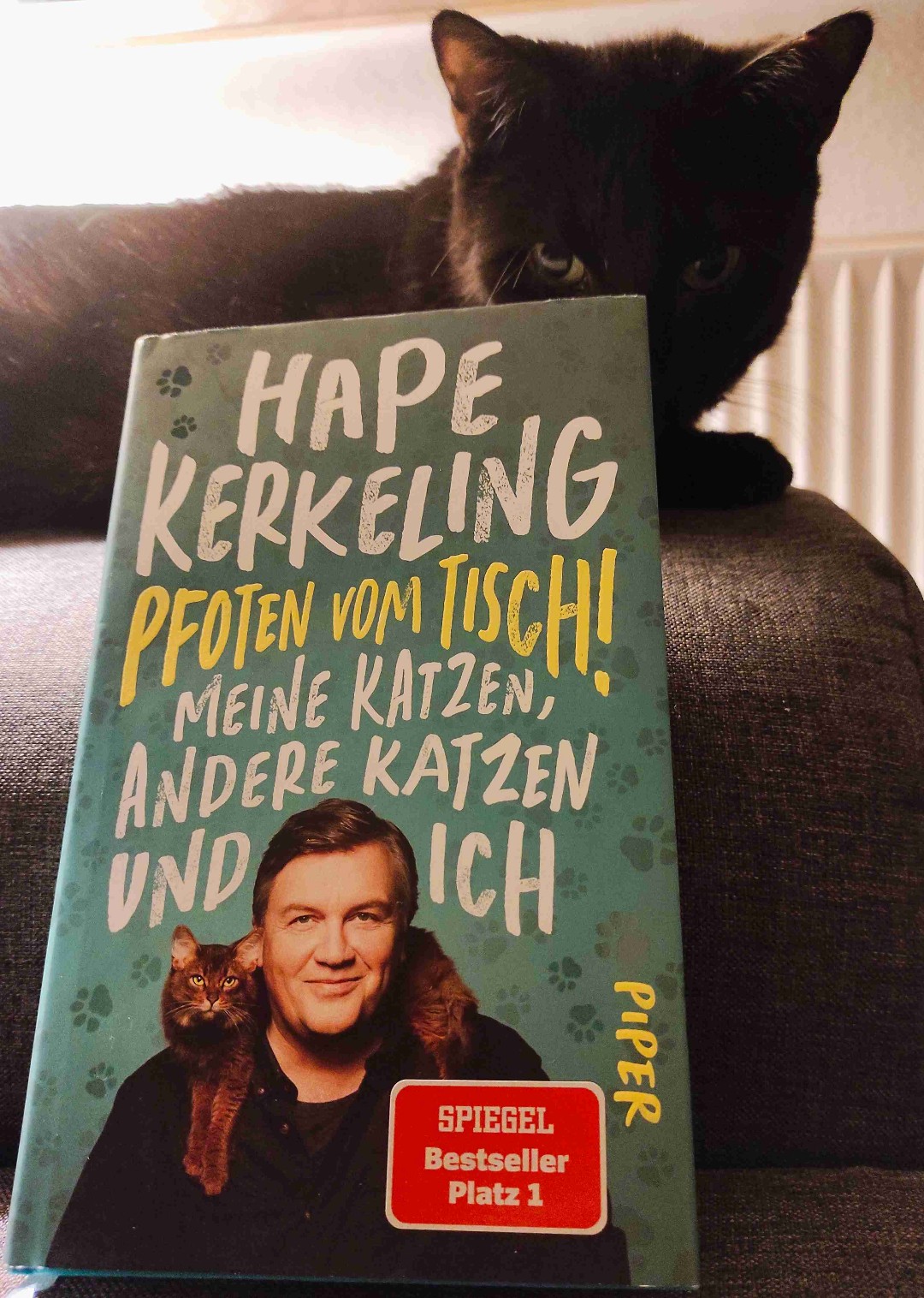 "Katzen sind Engel mit einem Schnurrbart."
