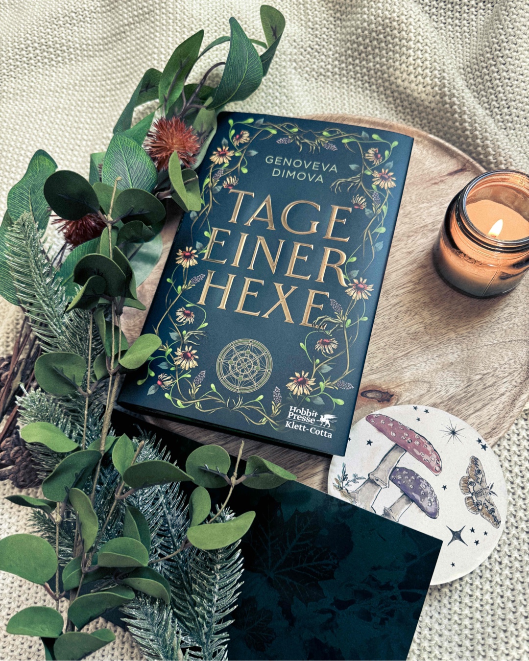 Ich liebe Bücher und Geschichten über Hexen und dieses Buch hat all meine Erwartungen erfüllt!