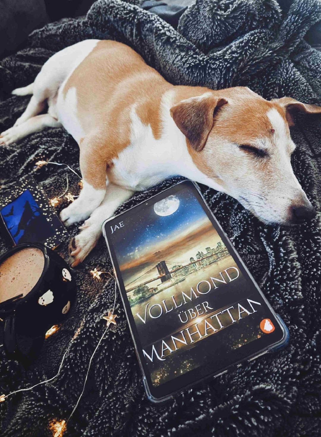 Forbidden love mit Halloween-Vibes 🎃 charmant amüsant but in the end ?...