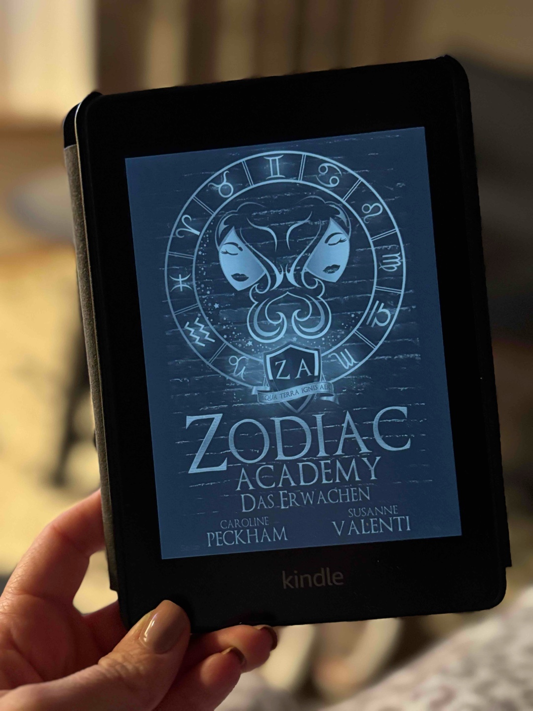 Zodiac Academy ist kein literarisches Meisterwerk, aber es macht Spaß. 😁