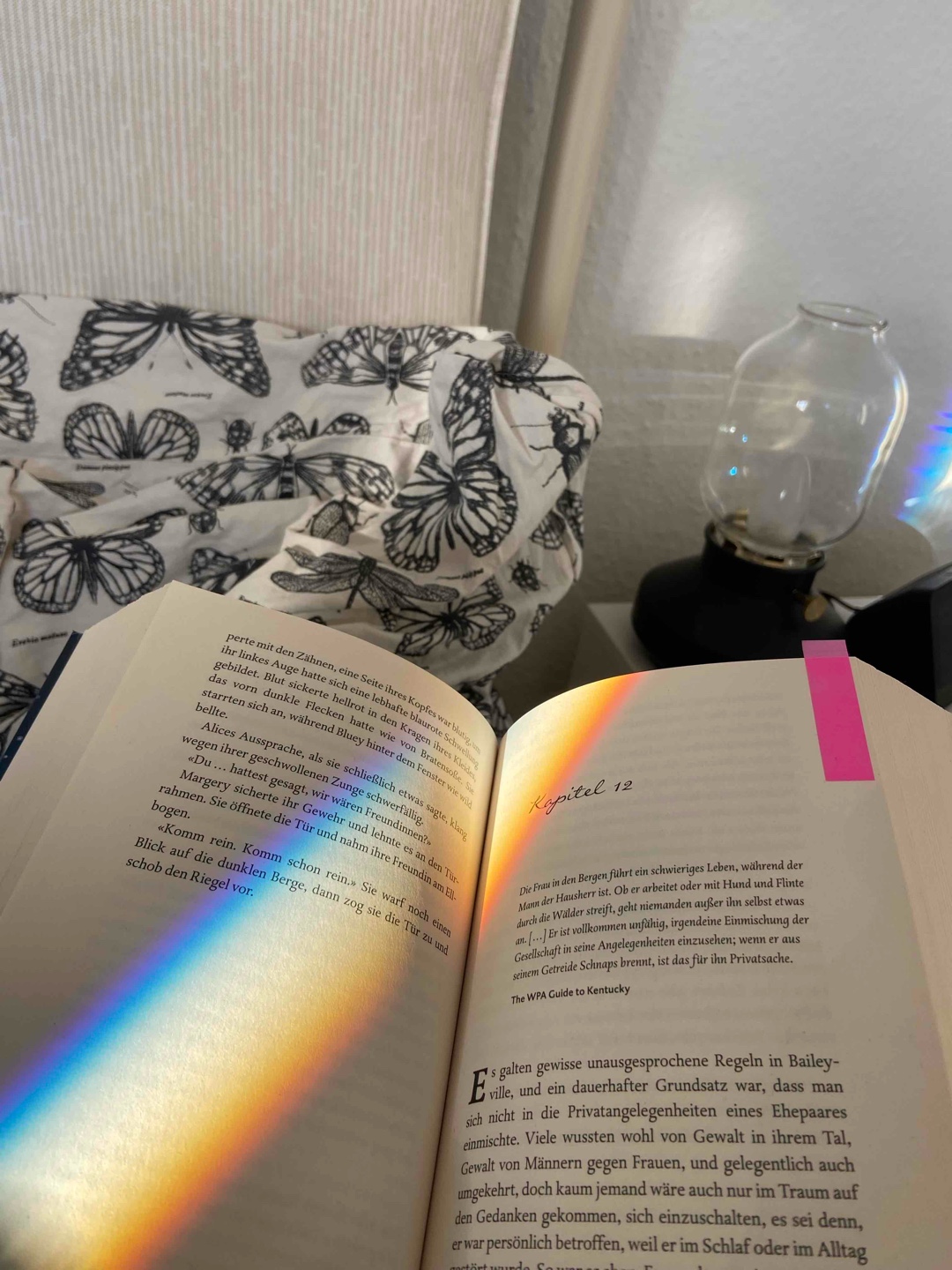 In Wie ein Leuchten in tiefer Nacht von Jojo Moyes geht es um Alice, eine junge Engländerin, die ihrem Ehemann nach Kentucky folgt, aber in ihrer Ehe unglücklich ist. Sie schließt sich einer Gruppe von Frauen an, die als „Packhorse Librarians“ in den 1930er Jahren Bücher zu abgelegenen Farmen bringen. Durch ihre Arbeit entdeckt sie ihre Leidenschaft für Bücher, Freundschaft und Unabhängigkeit. Dabei muss sie sich gegen Vorurteile und Widerstände in der konservativen Gemeinde behaupten. Der Roman erzählt von weiblicher Stärke, Zusammenhalt und der heilenden Kraft des Lesens.