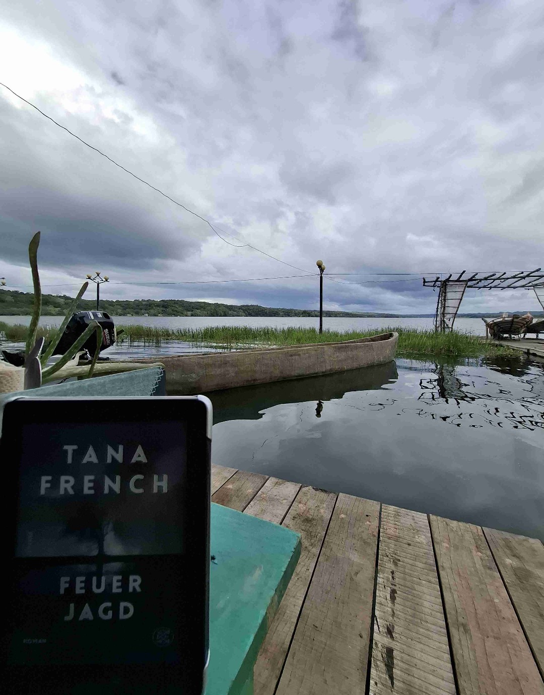 Feuerjagd von Tana French – 2,5 von 5 Sternen.
Leider nicht das was ich erhofft habe....