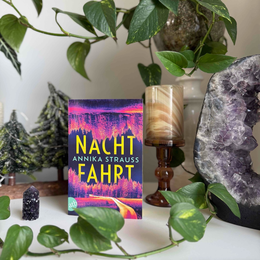 ⭐️⭐️⭐️⭐️ 4/5
📖 Seiten 387
📚 Paperback mit Farbschnitt