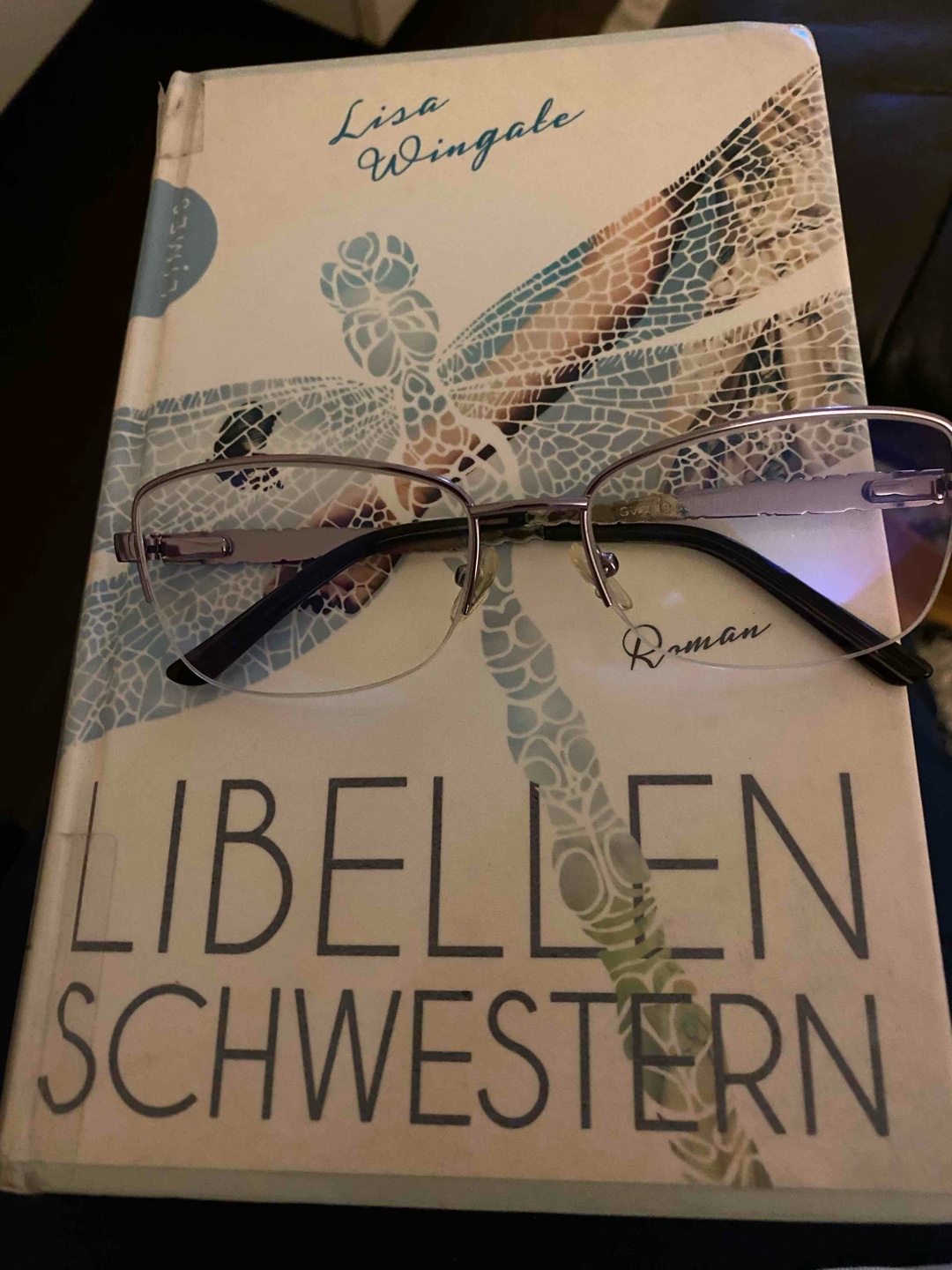 Ich war hier beim Lesen ganz schön hin und hergerissen. Auf der einen Seite die Geschichte der gestohlenen Kinder der Tennessee Children‘s Home Society, die sehr spannend war und mich sehr berührt hat, auf der anderen Seite Avery , im Hier und Jetzt, die ich fast als langweilig und unentschlossen empfunden habe. Trotzdem ein Buch, das ich gern gelesen habe.