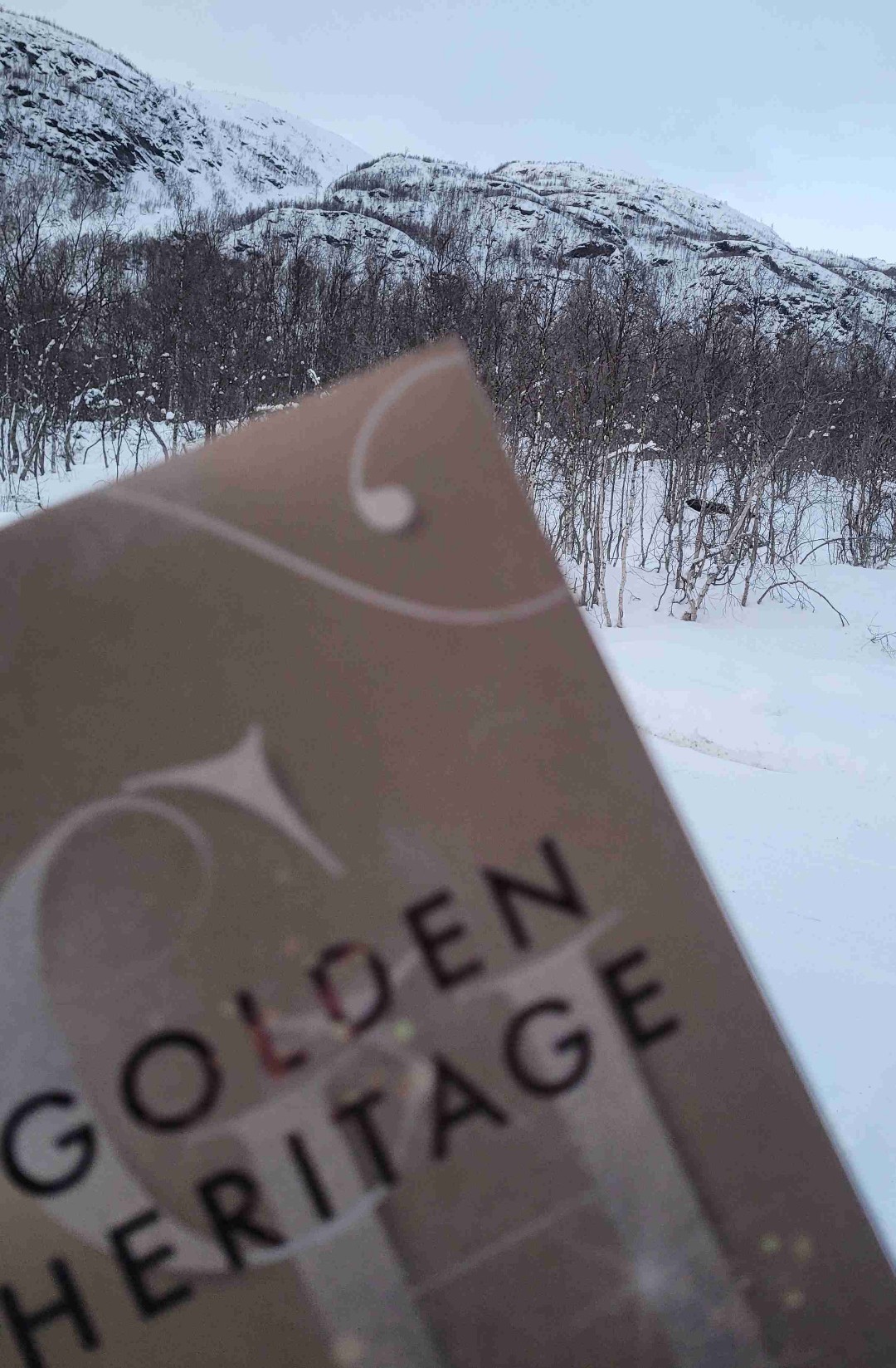 Ich habe mich sowohl in Elli und Lucas als auch in Norwegen verliebt. 