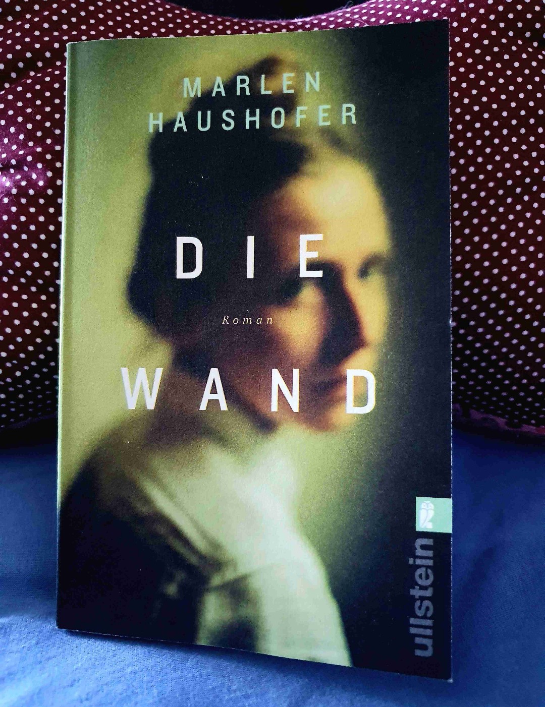 Ich habe mit dem Buch sehr gekämpft...
