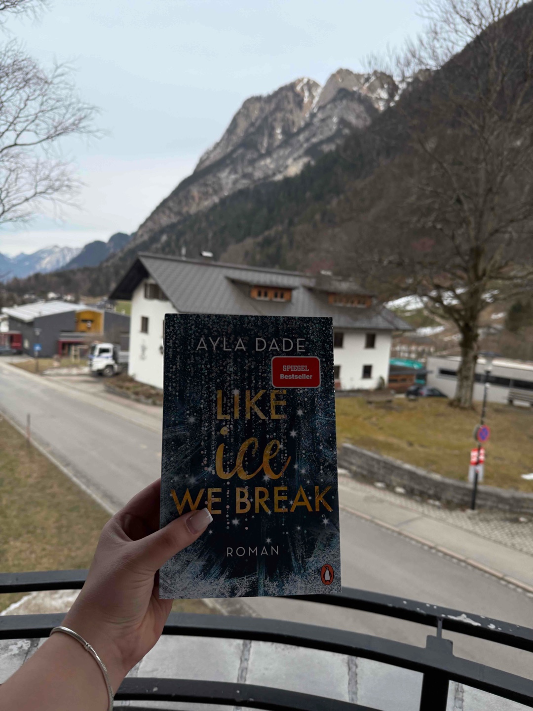 Ich glaube mein bisher liebstes Buch der Reihe. Man fühlt sich so wohl beim lesen der winter dreams Bücher! Alle Charaktere sind sehr tiefgründig beschrieben und man kann sie deswegen gut verstehen. Ayla Dade weiß einfach, wie man gute Bücher schreibt, die keinesfalls langweilig werden ❄️⛸️❤️