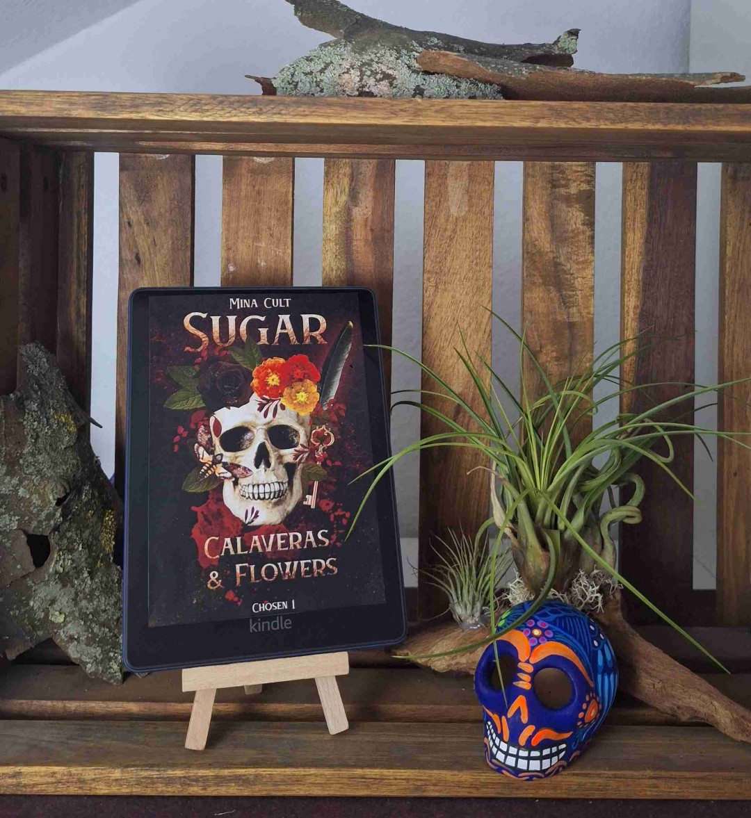 Ein tolles Setting, interessante und geheimnisvolle Charaktere und sooo viele Fragen. Einfach spannend und sehr gut geschrieben. Absolut lesenswert!
Eine ausführlichere Rezension findest du, auf Instagramm (ronja_only_with_buch)