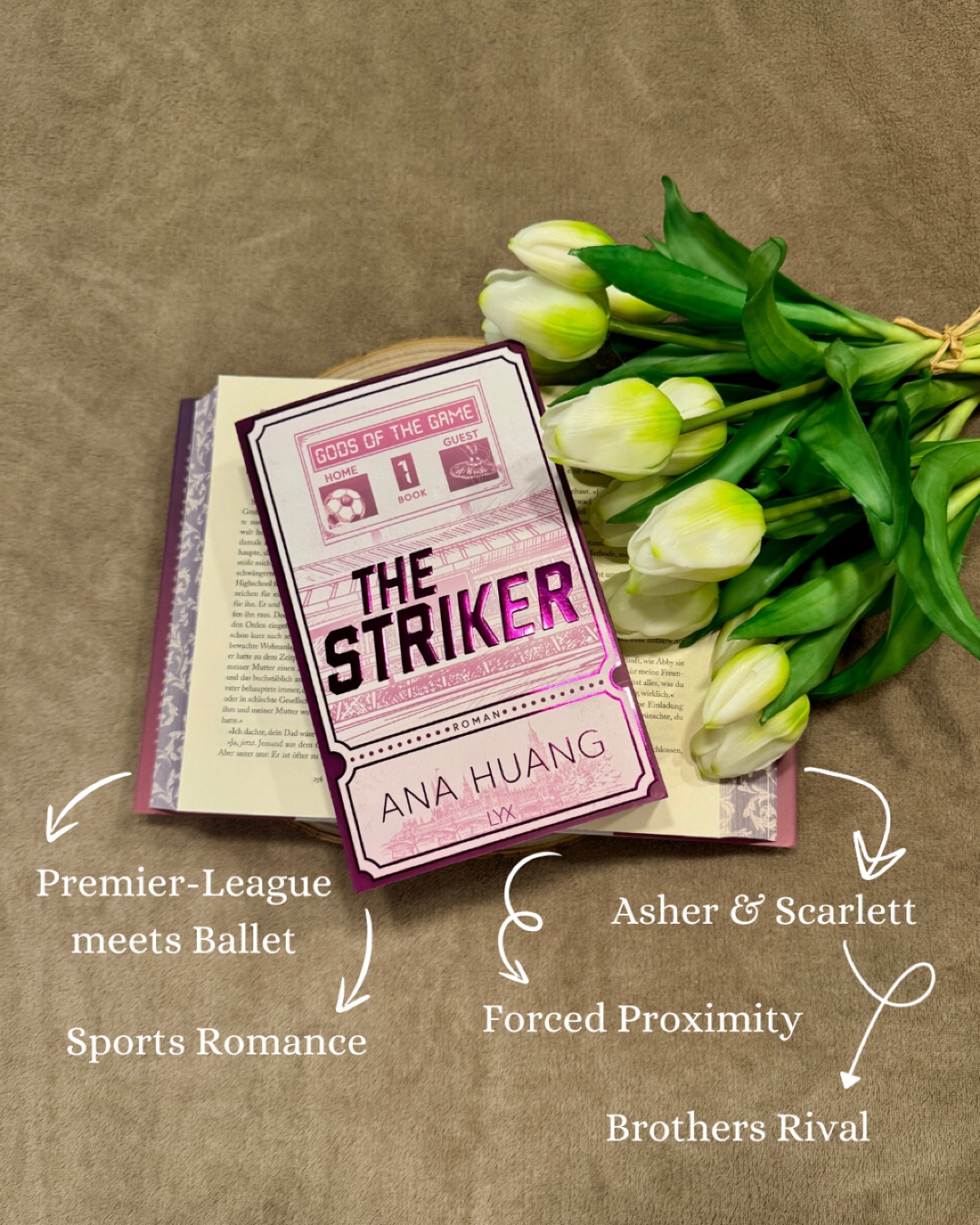 Wer Sports Romance und vor allem Fußball mag ist hier richtig!