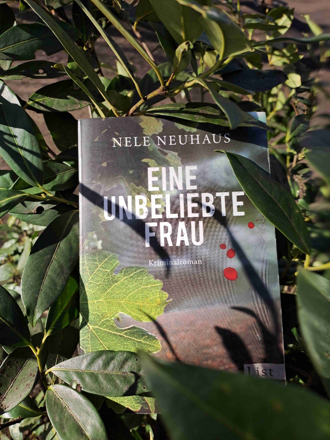 Eine undurchsichtige Ermittlung.