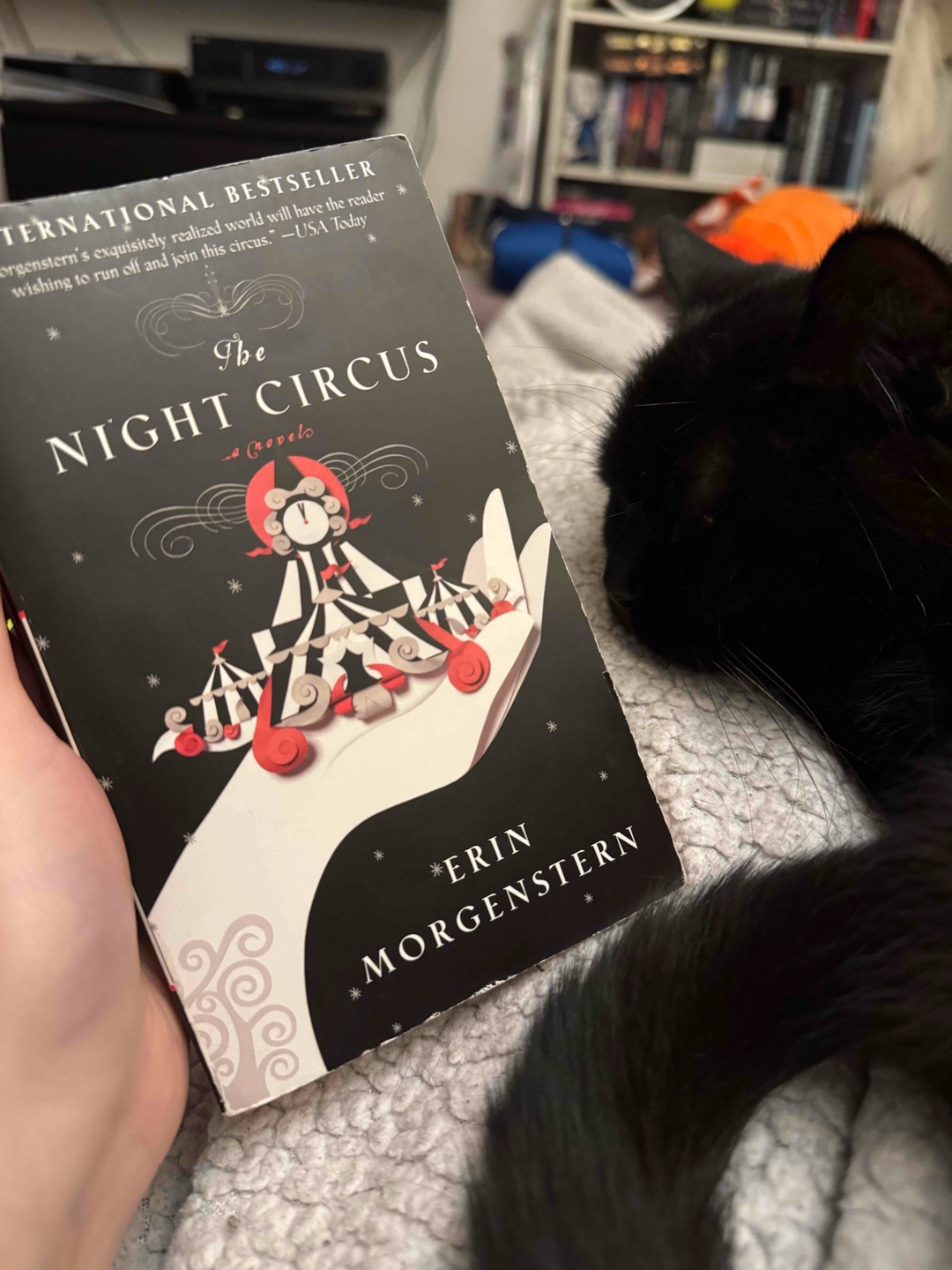 Depression because I want to visit the night circus but it’s not real