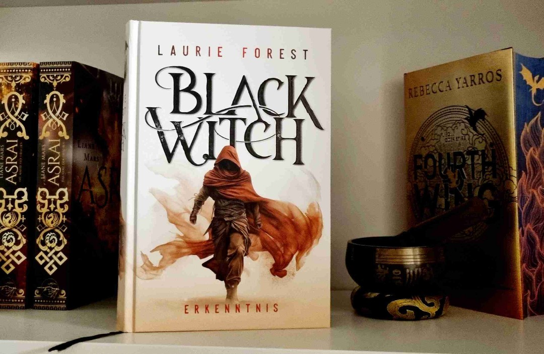 Toller zweiter Teil um die Rebellion gegen den Hohen Rat der Magi, die Rettung der Phocas und einer Drachin. Super geschriebene Geschichte, spannend, mitfühlend und aufwühlend.