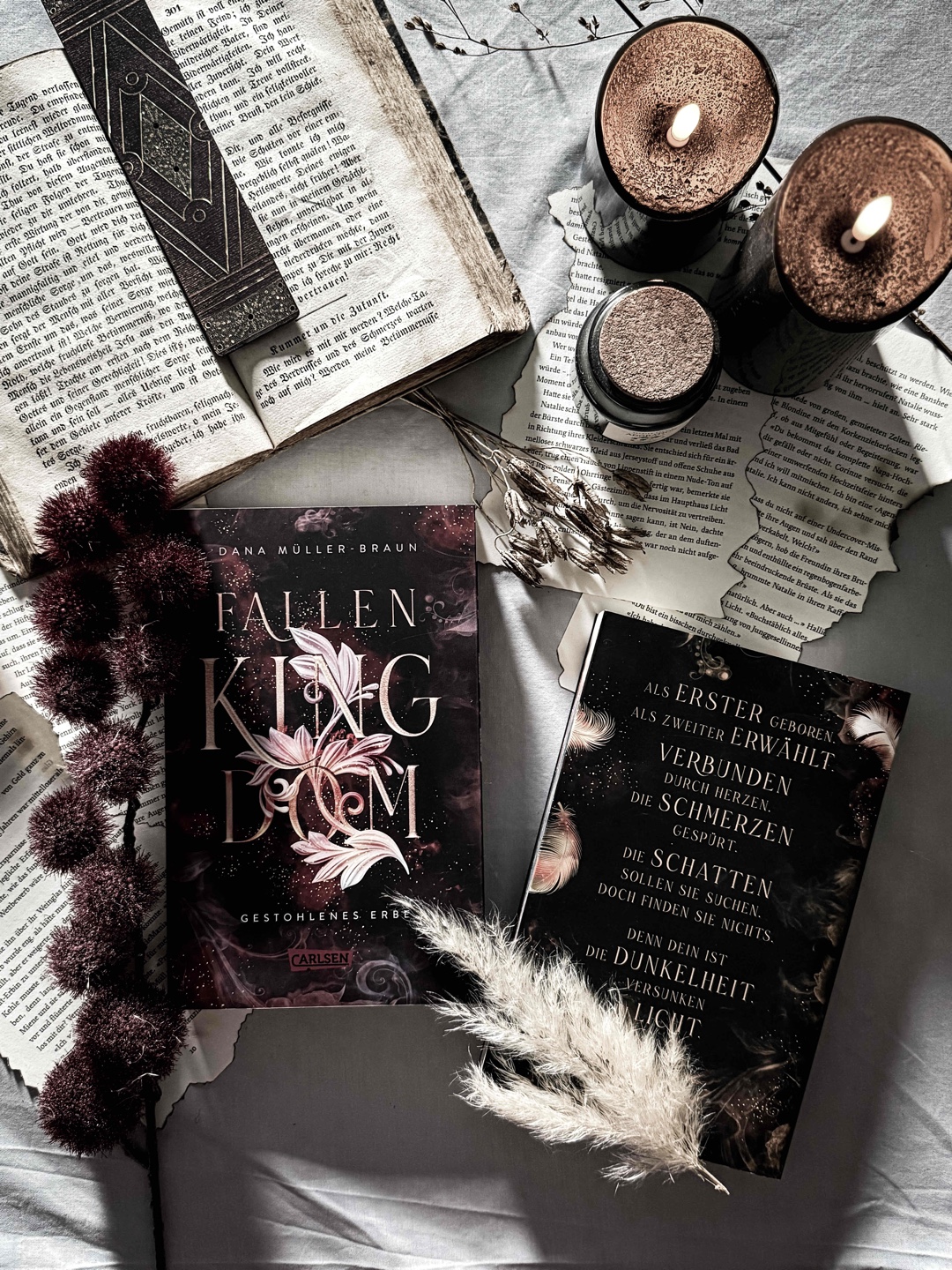 „𝔸𝕔𝕙𝕥 ℝ𝕖𝕚𝕔𝕙𝕖, 𝕤𝕚𝕖𝕓𝕖𝕟 𝕋𝕠𝕕𝕤ü𝕟𝕕𝕖𝕟 𝕦𝕟𝕕 𝕟𝕦𝕣 𝕖𝕚𝕟𝕖 𝕎𝕒𝕙𝕣𝕙𝕖𝕚𝕥…“

Der grandiose Auftakt einer Dilogie - anspruchsvoll, wortgewandt, fesselnd! ❤️‍🔥