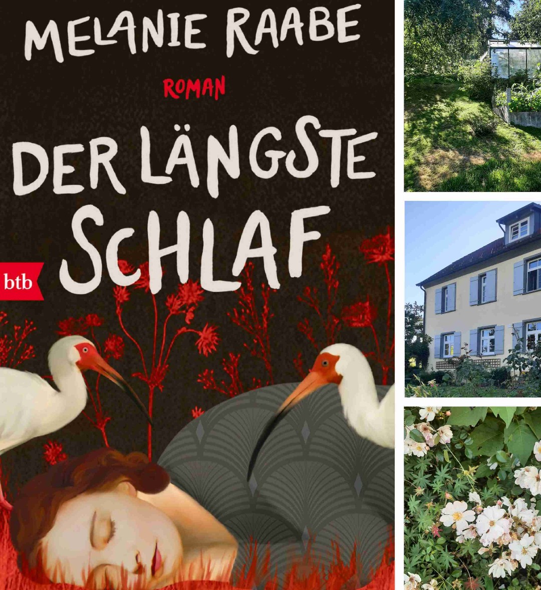 Alles in allem kann ich sehr empfehlen, sich von diesem Buch inspirieren zu lassen, gutem Schlaf, Träumen, Intuition, schönen Erinnerungen und ungewöhnlichen Menschen Raum zu geben.