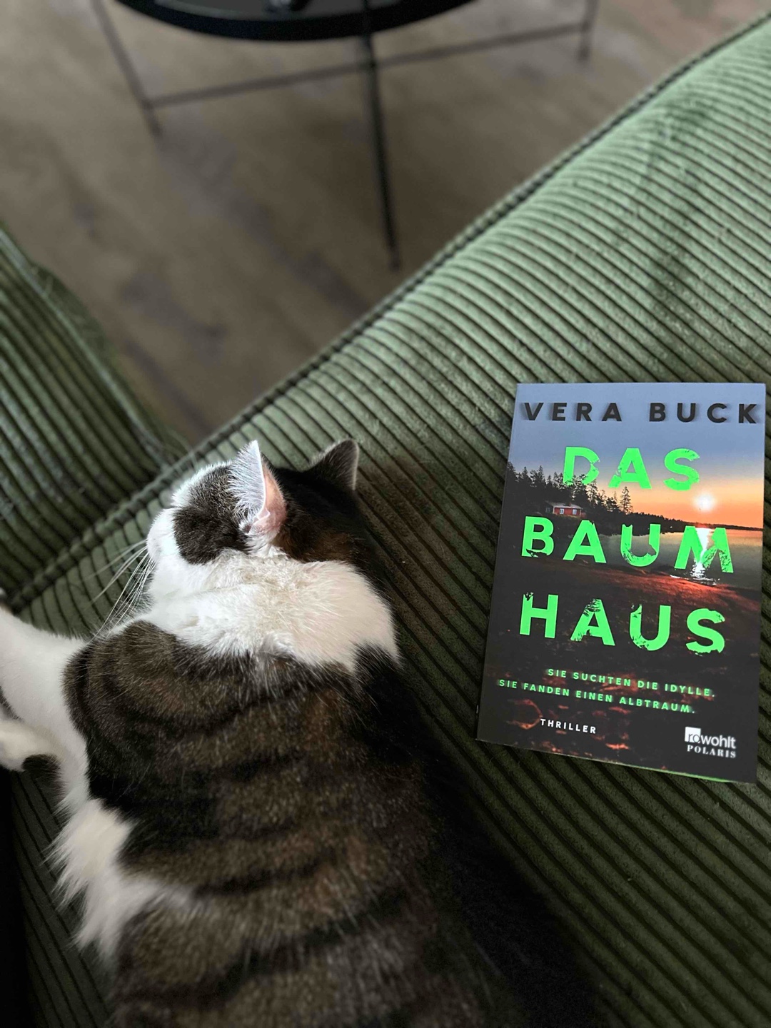 Packend, gruselig und düster 🌳