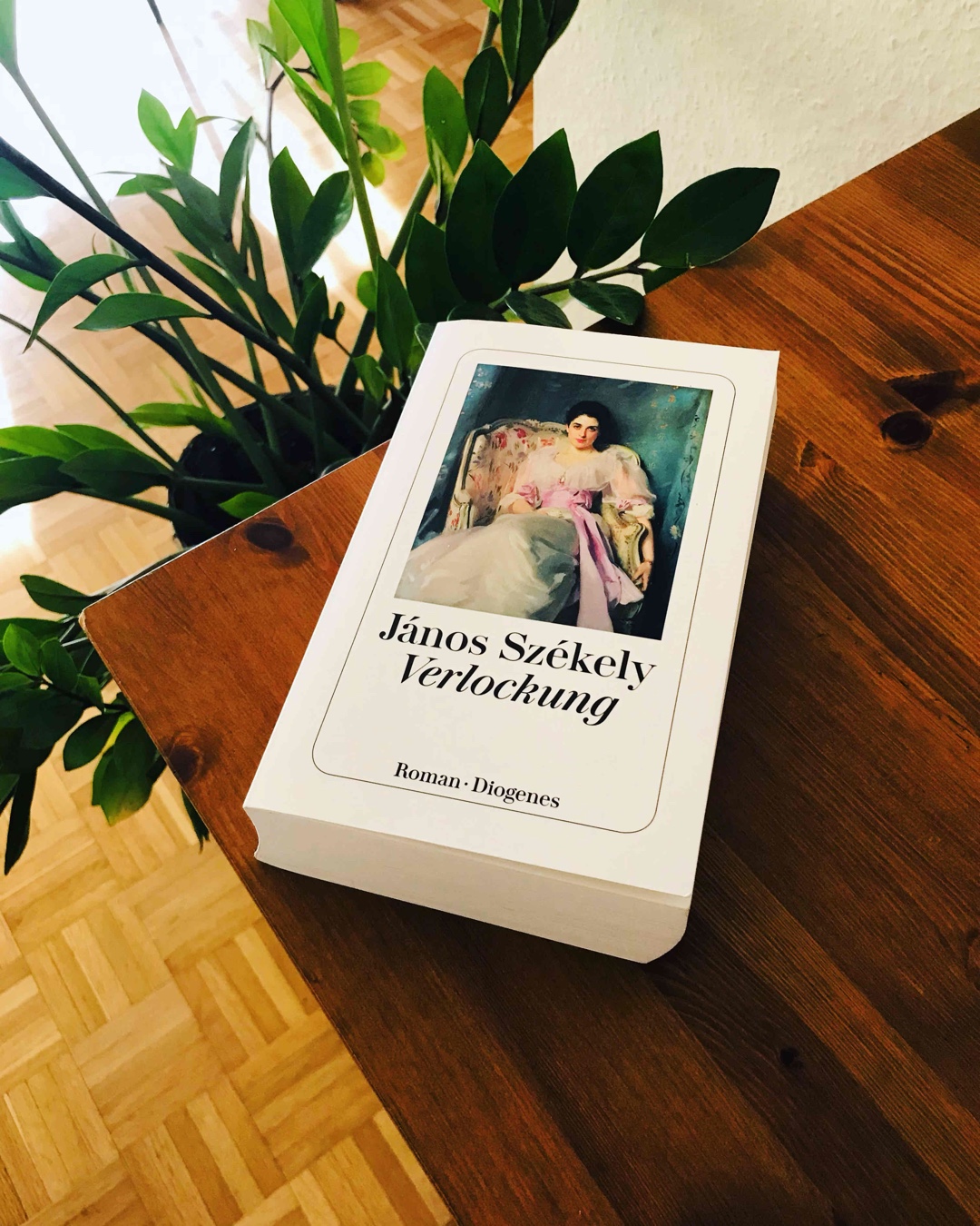 Wenn ein Buch über 900 Seiten hat braucht es so einiges damit ich dran bleibe. Es muss mich richtig hineinziehen, langweile verboten.
Dies ist so ein Roman!
