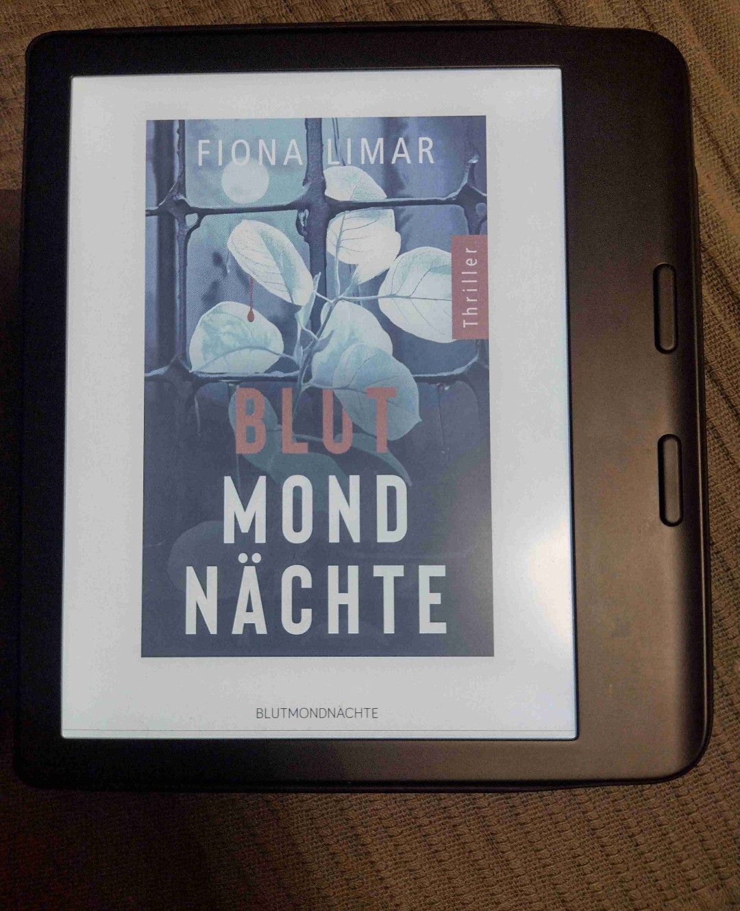 eBook • vorablesen