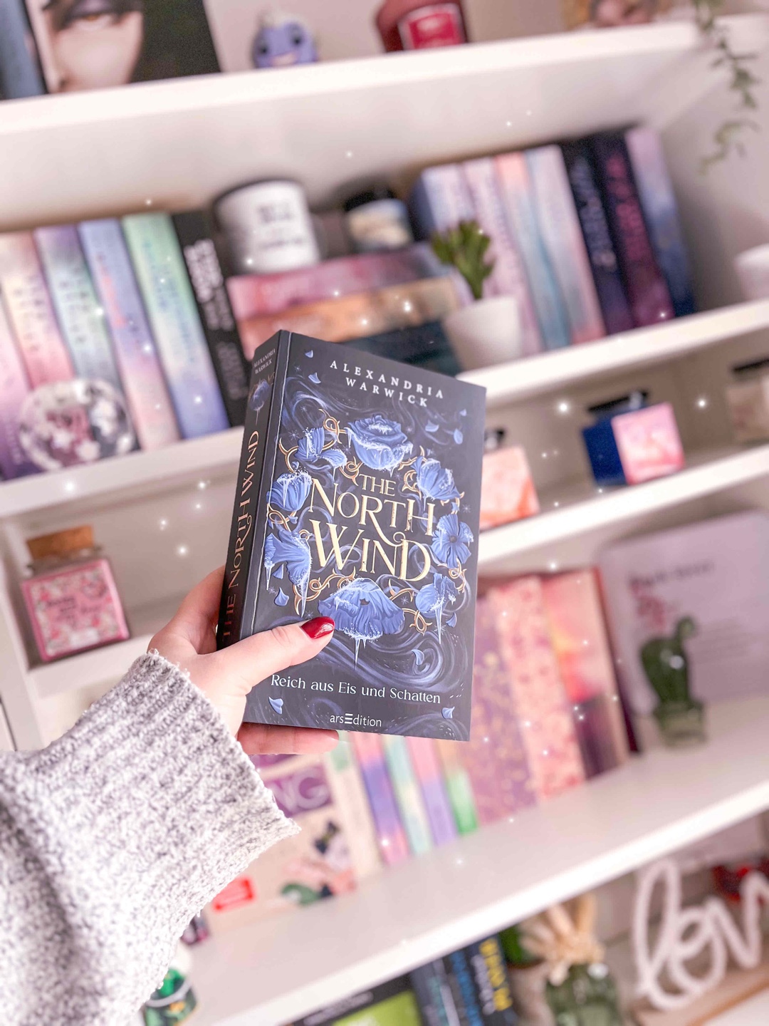 „The North Wind“ ist ein unglaublich schöner Fantasy Roman mit prickelnden Szenen und jede Menge Spannung.