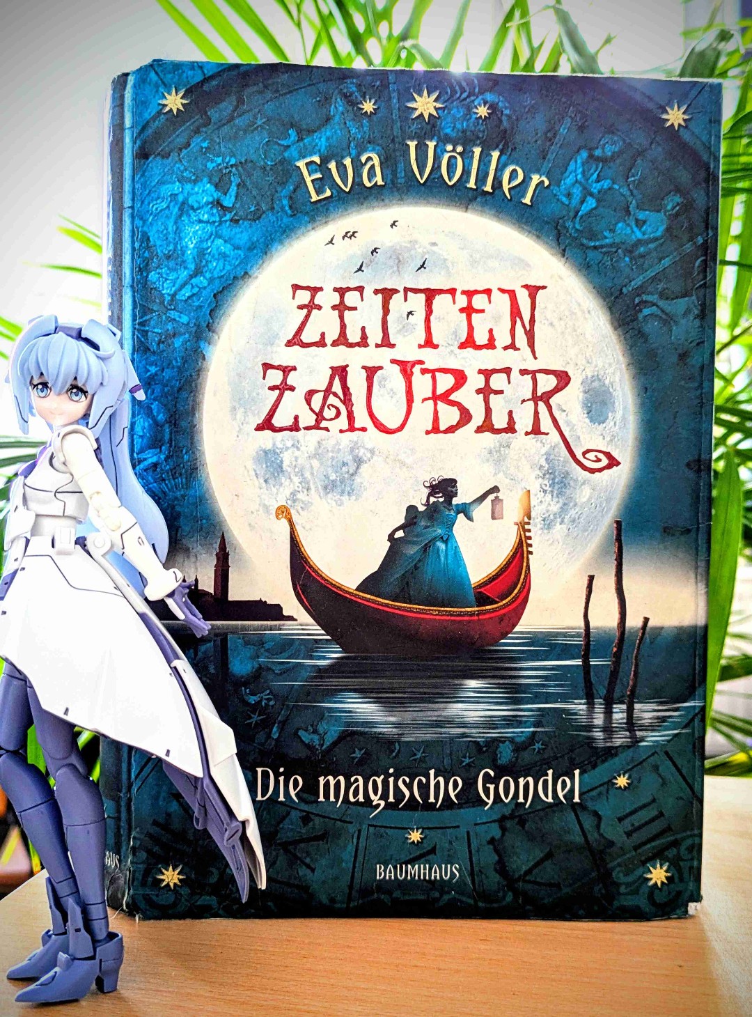 Ein schönes Fantasy-Jugendbuch für Mädels.