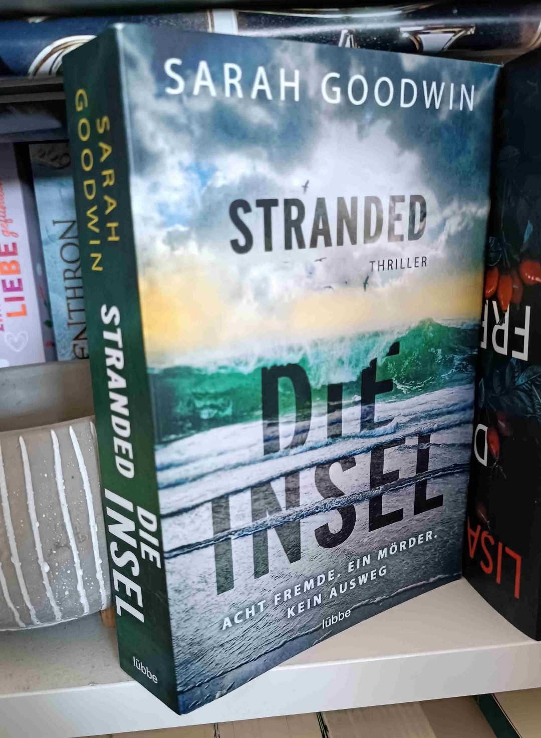 Es ist eher ein Survival Roman als ein Thriller.
Der Anfang war gut, aber zur Mitte hin wurde es etwas zäh. Große Plottwist erwartet man hier vergebens.
Schade, trotz dem guten Schreibstil.