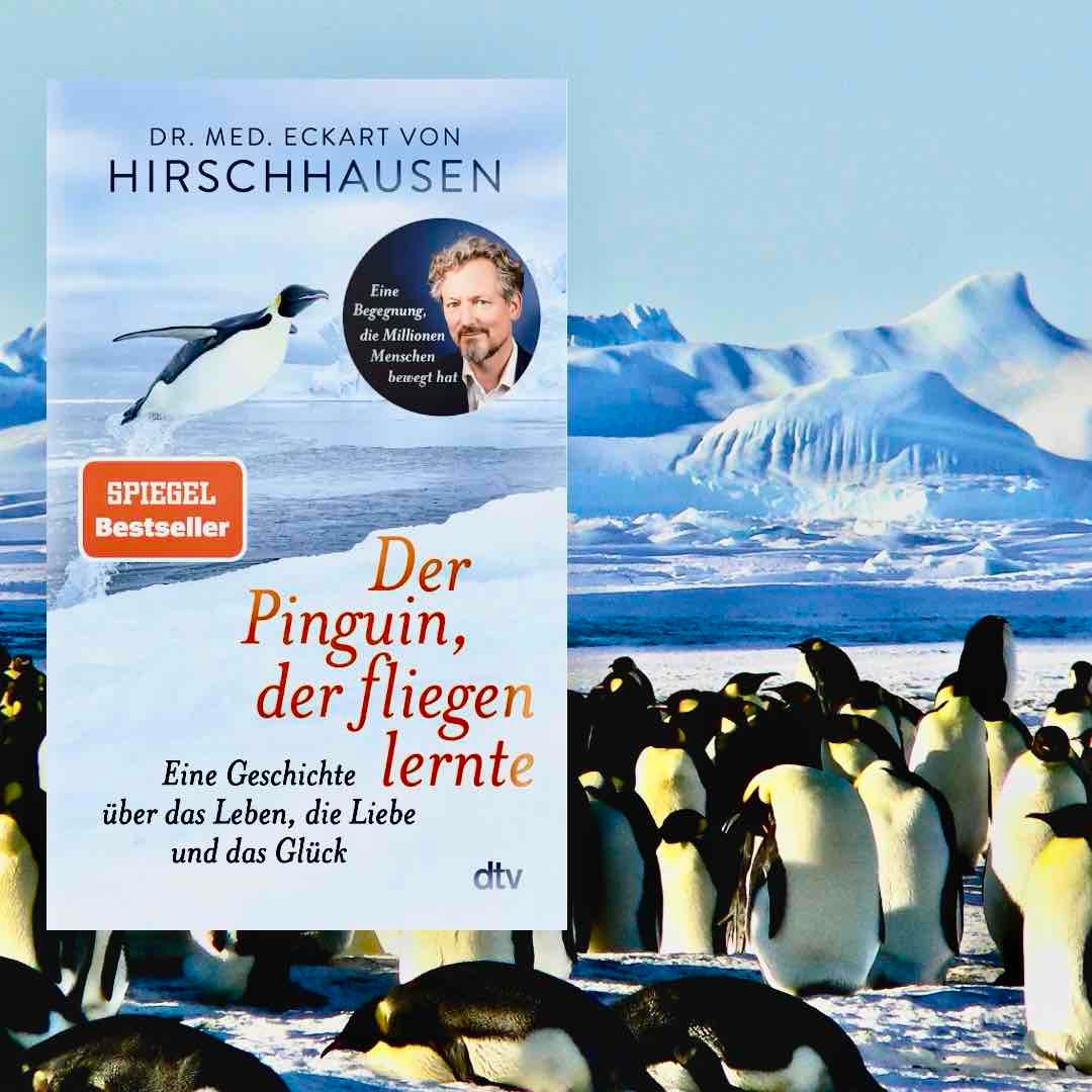 Die Begegnung mit dem Pinguin