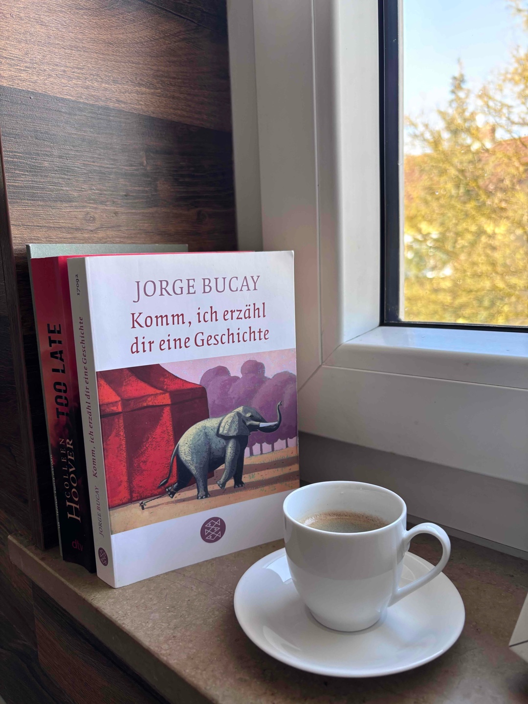 Ich habe schon ein paar Bücher in der Art (Ratgeberliteratur) gelesen, und ich muss sagen, bis jetzt gefällt mir das Buch am besten. Das Buch handelt von Demian, der zur Therapie geht. Doch der Therapeut ist nicht wie andere Therapeuten. Er hört sich Demians Probleme an und versucht, ihm mit einer Geschichte zu helfen, seine Gedanken zu ordnen. Insgesamt gibt es 51 solcher kleiner Geschichten und Weisheiten. Ich konnte viel aus dem Buch mitnehmen und kann es nur empfehlen.