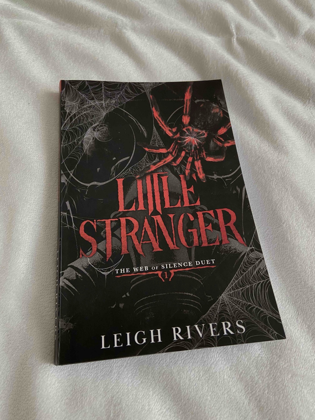🕷️“Run, little Stranger“🕷️