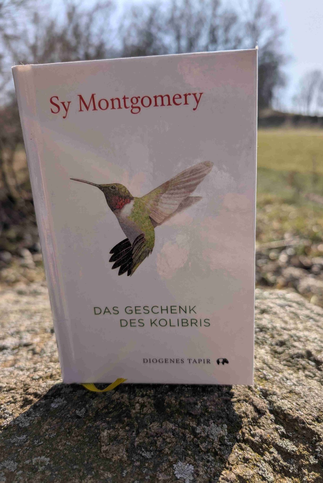 Wunderschöne Parabel auf das Leben