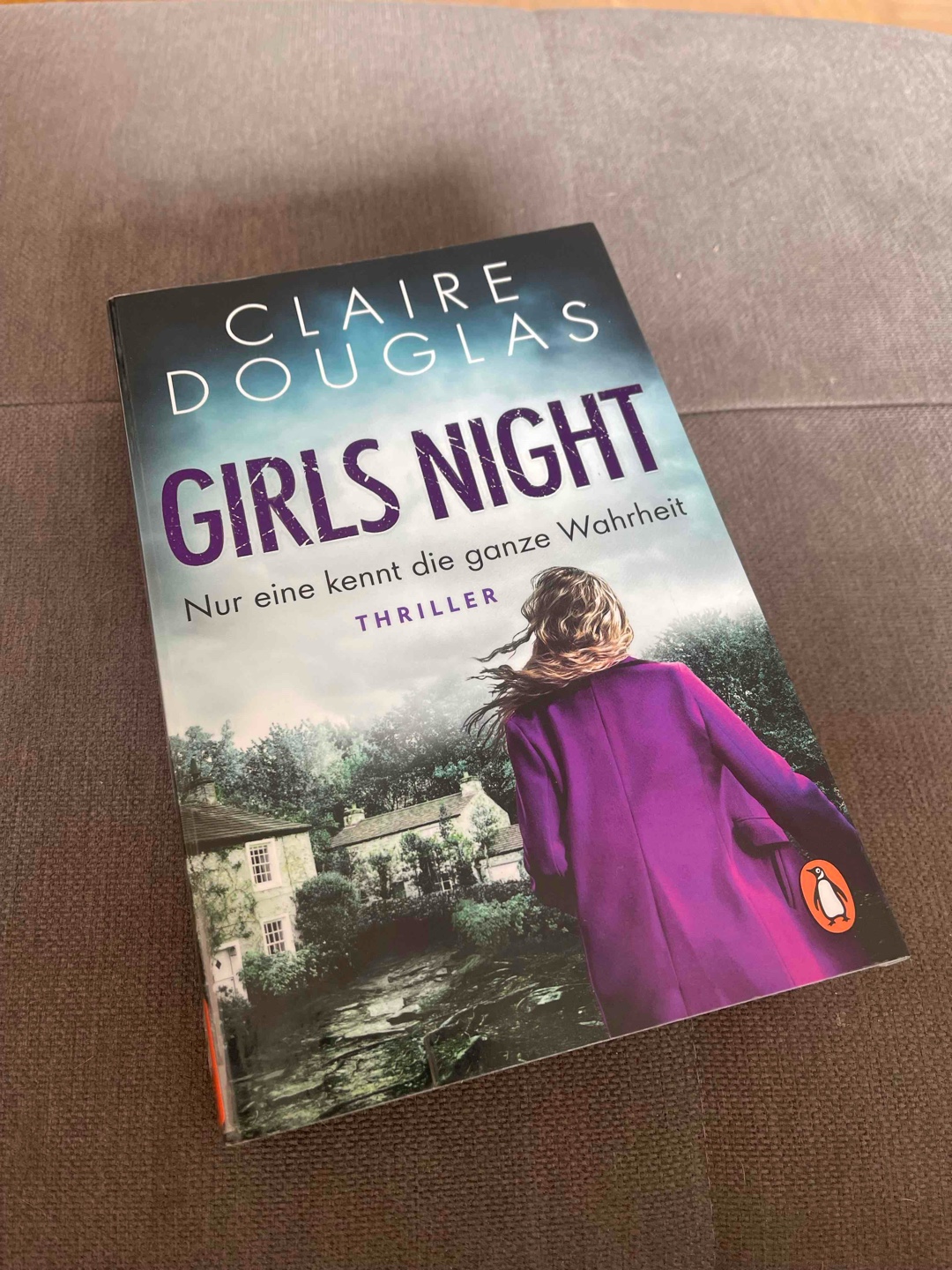 Solider Thriller mit einigen Längen