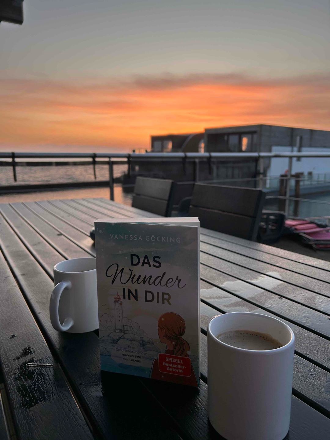 Sehr schönes Buch, das zum Nachdenken anregt
